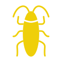 cockroach (1)